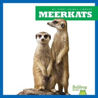 Cover image for Meerkats