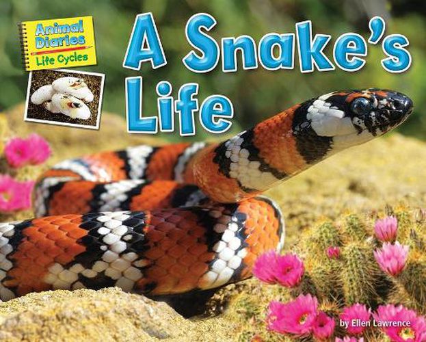 Cover image for A Snake's Life