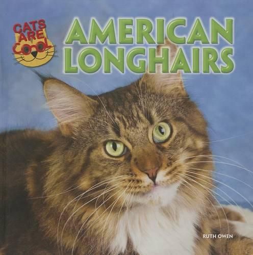 Cover image for American Longhairs