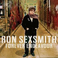 Cover image for Forever Endeavour