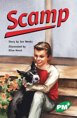 Cover image for Scamp