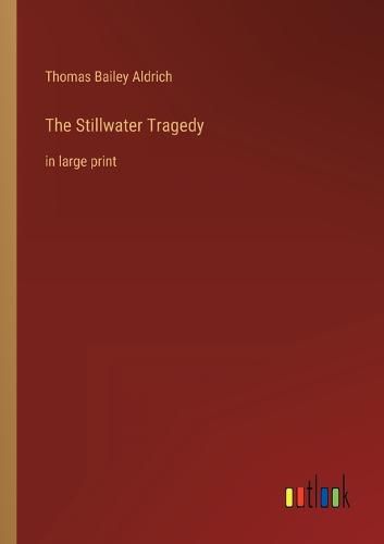 Cover image for The Stillwater Tragedy