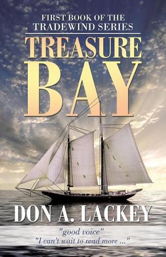 Cover image for Treasure Bay