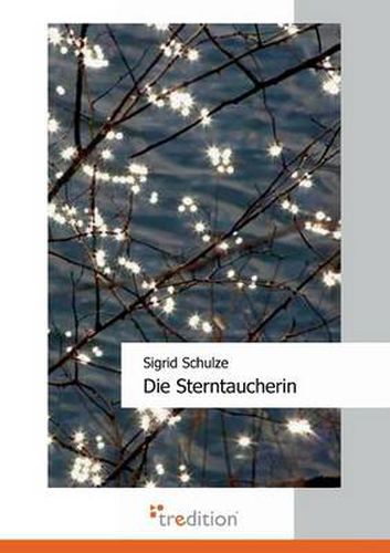 Cover image for Die Sterntaucherin