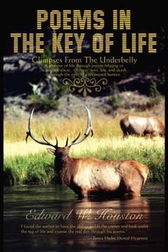 Cover image for Poems In The Key Of Life: Glimpses From The Underbelly