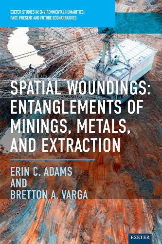 Cover image for Spatial Woundings