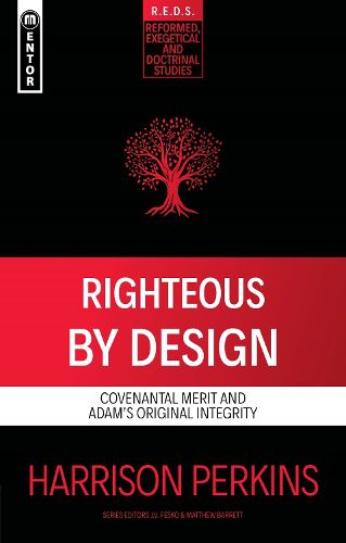 Cover image for Righteous By Design