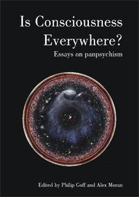 Cover image for Is Consciousness Everywhere?: Essays on Panpsychism