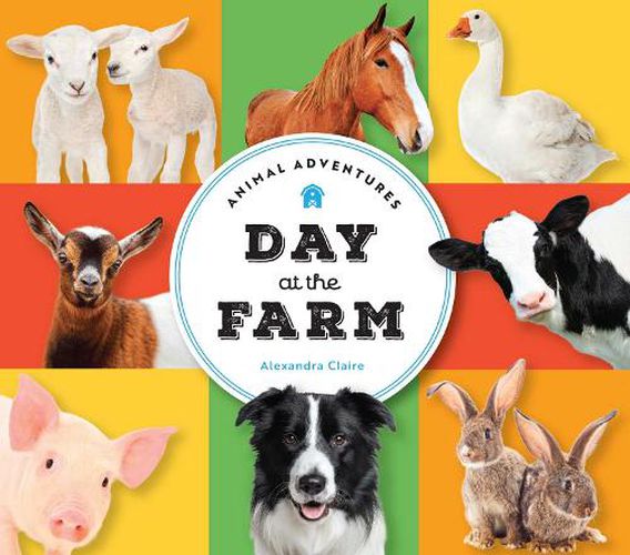 Animal Adventures: Day at the Farm