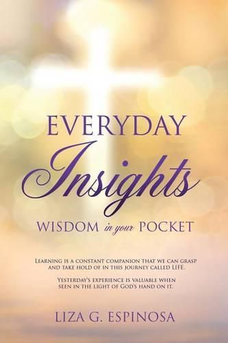 Cover image for Everyday Insights