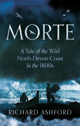 Cover image for Morte