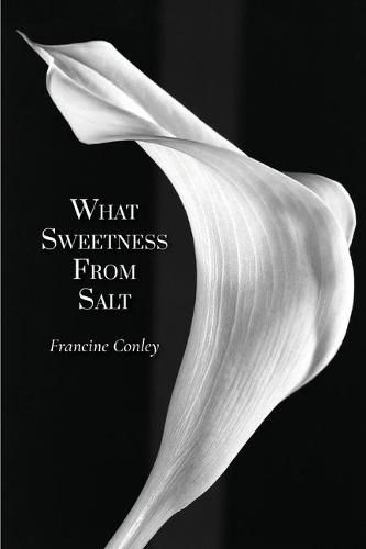 Cover image for What Sweetness from Salt