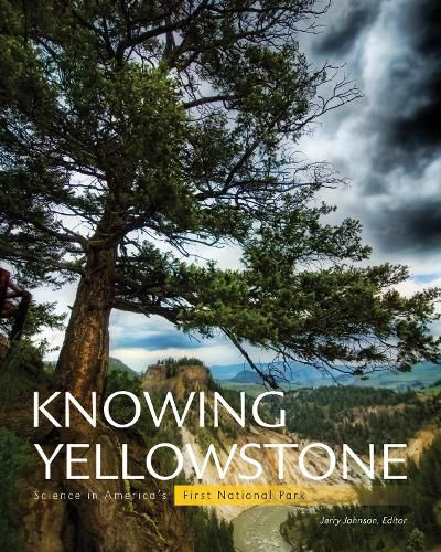 Cover image for Knowing Yellowstone: Science in America's First National Park