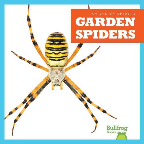 Cover image for Garden Spiders