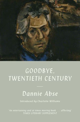 Cover image for Goodbye, 20th Century