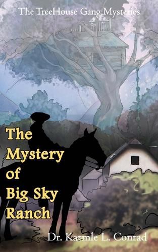 Cover image for The Mystery of Big Sky Ranch