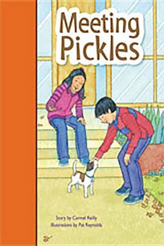 Cover image for Meeting Pickles: Individual Student Edition Orange