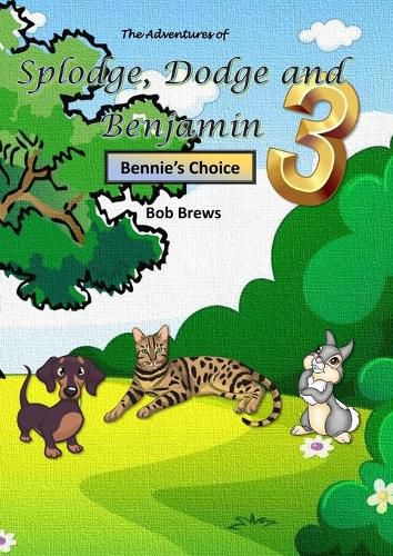 Cover image for Splodge, Dodge and Benjamin - Bennie's Choice