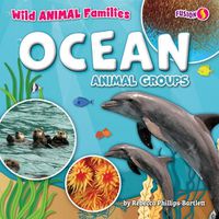 Cover image for Ocean Animal Groups