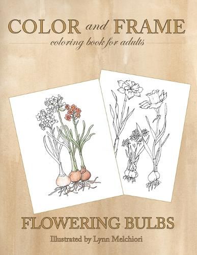 Cover image for Color and Frame: Flowering Bulbs