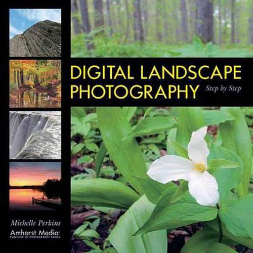 Cover image for Digital Landscape Photography: Step by Step