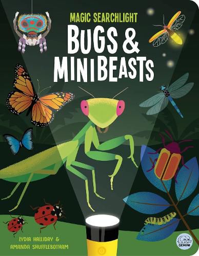 Cover image for Magic Searchlight - Bugs & Minibeasts