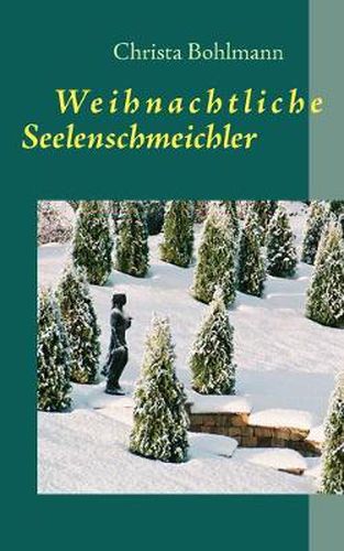 Cover image for Weihnachtliche Seelenschmeichler: Fantastische Kurzgeschichten