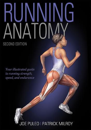 Cover image for Running Anatomy