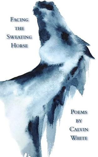 Cover image for Facing the Sweating Horse