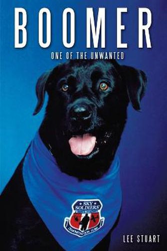 Cover image for Boomer