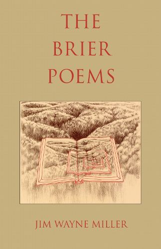 Cover image for The Brier Poems