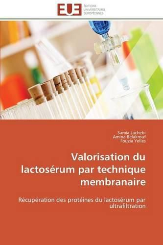 Cover image for Valorisation Du Lactos rum Par Technique Membranaire