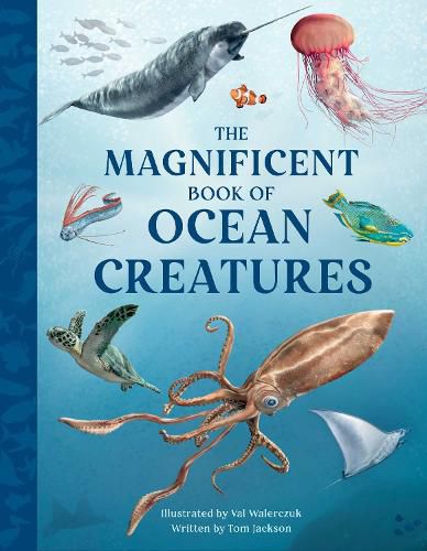 Cover image for The Magnificent Book of Ocean Creatures