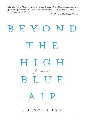 Cover image for Beyond the High Blue Air: A Memoir