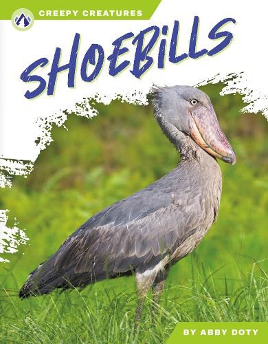 Cover image for Shoebills