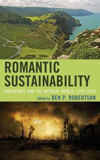 Cover image for Romantic Sustainability: Endurance and the Natural World, 1780-1830