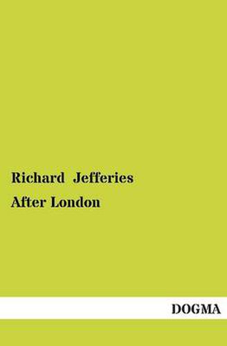 Cover image for After London