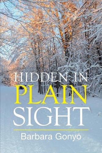 Cover image for Hidden in Plain Sight