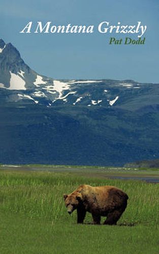 Cover image for A Montana Grizzly