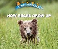 Cover image for How Bears Grow Up