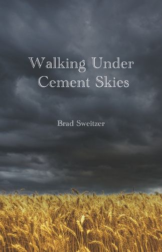 Cover image for Walking Under Cement Skies