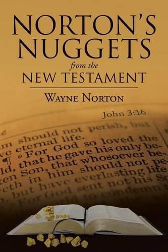 Cover image for Norton's Nuggets from the New Testament