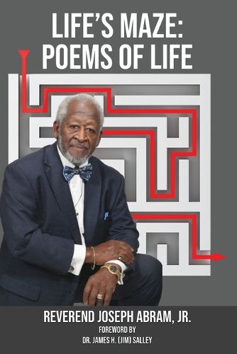 Cover image for Life's Maze