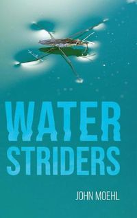 Cover image for Water Striders