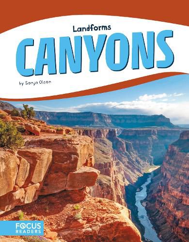 Cover image for Landforms: Canyons