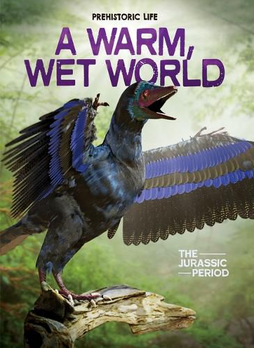 Cover image for A Warm, Wet World