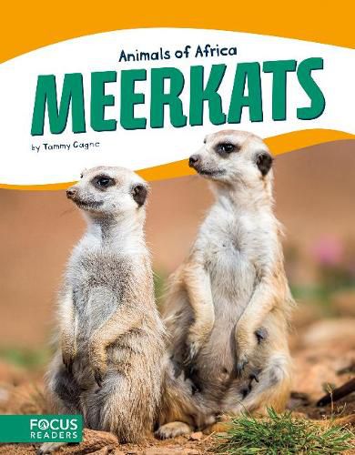 Cover image for Animals of Africa: Meerkats