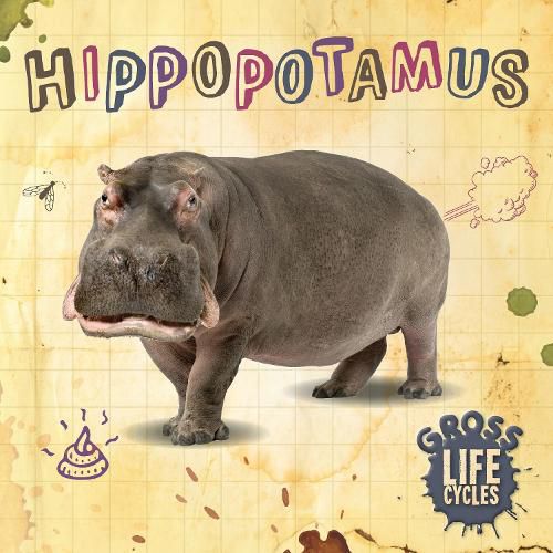 Cover image for Hippopotamus