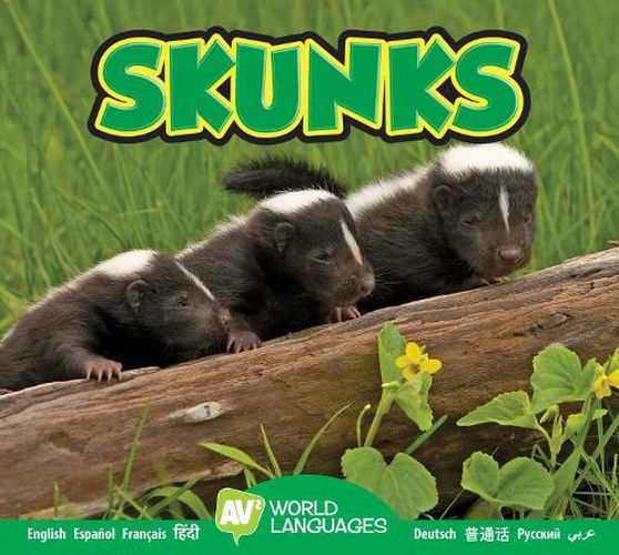 Cover image for Skunks