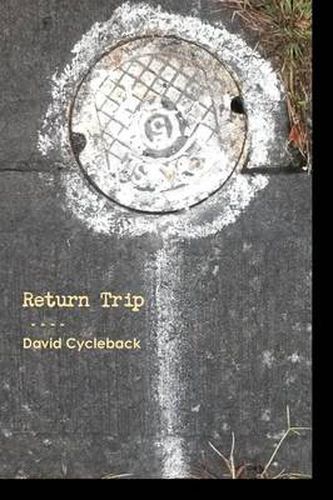 Cover image for Return Trip